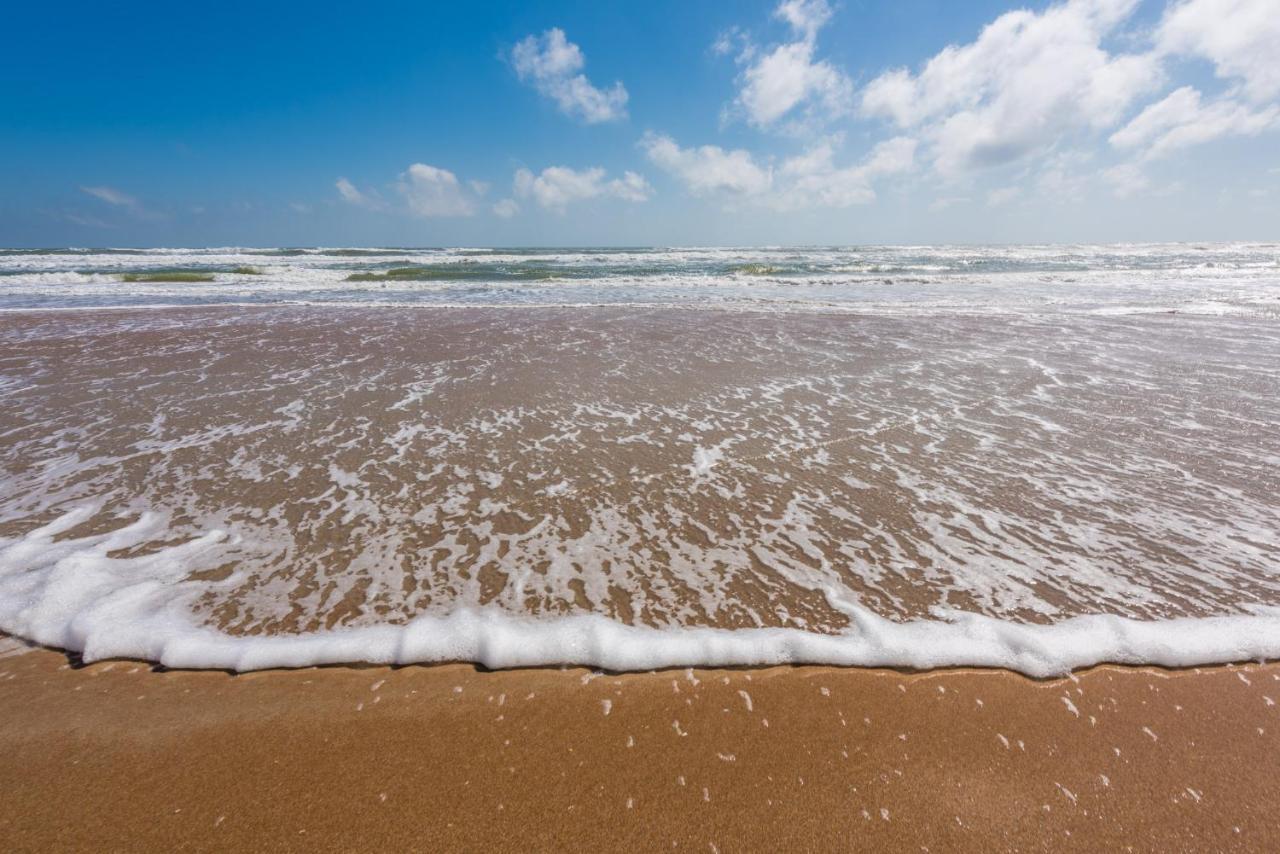 Sand Dollar Condominiums Daytona Beach Shores Exteriér fotografie